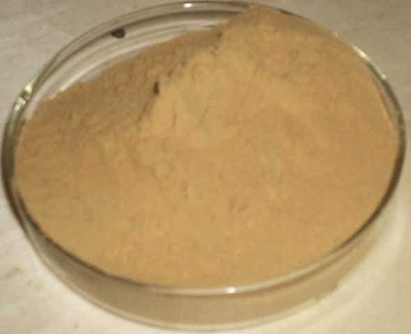 Gynostemma Extract Gypenosides -2